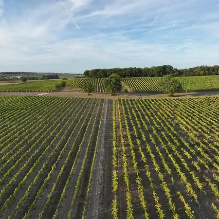Le De L'arche, La Parenthese Nature Brie-sous-Archiac